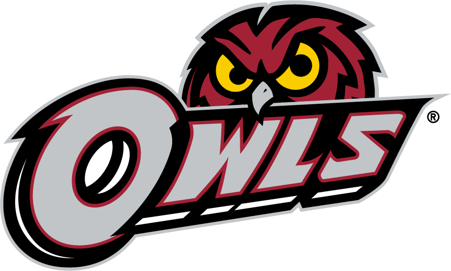Temple Owls 2014-2020 Secondary Logo v3 t shirts iron on transfers